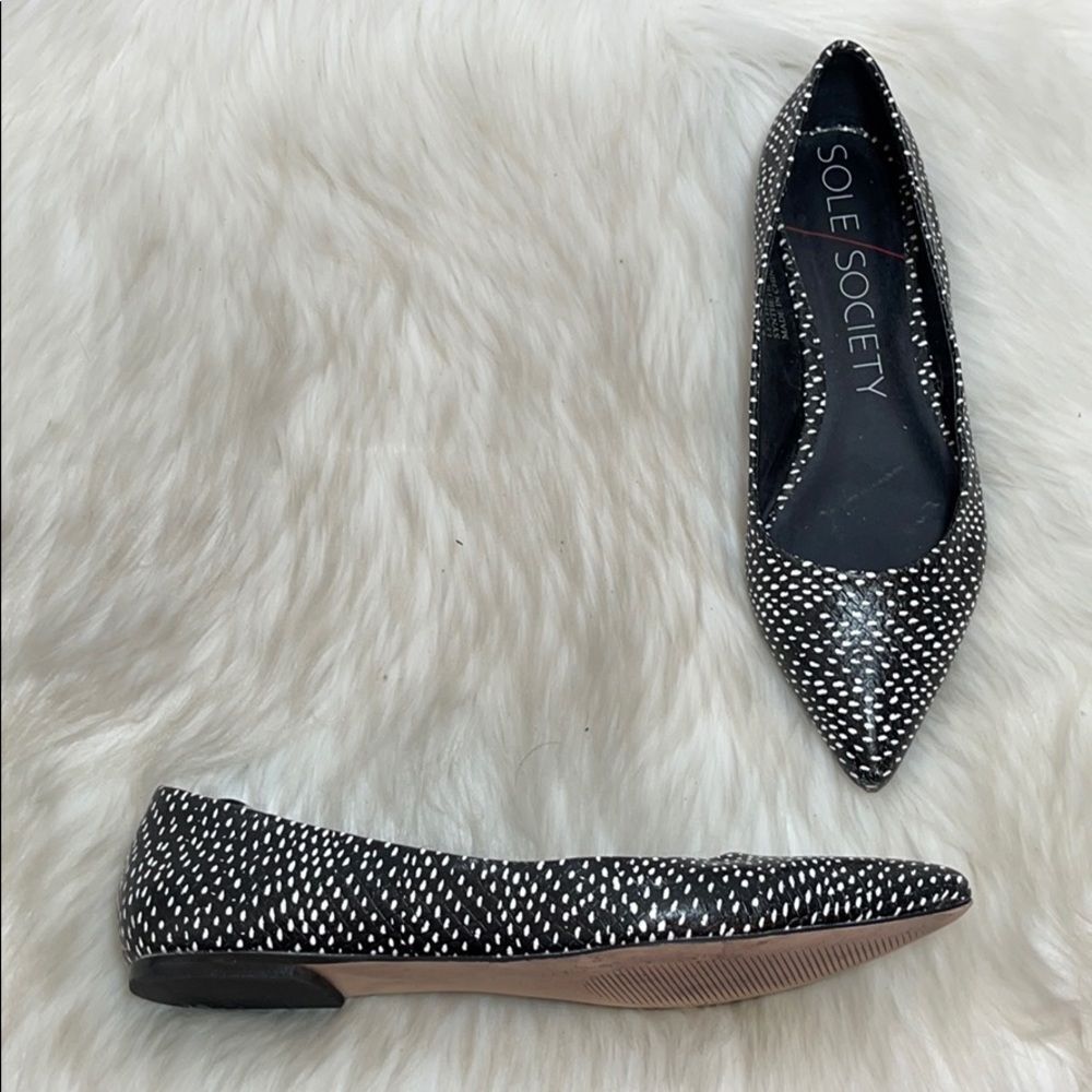 Sole Society Quinn‎ Black Flecked Ballet Fl…